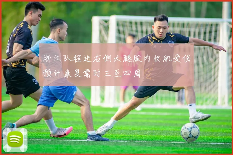 浙江队程进右侧大腿股内收肌受伤预计康复需时三至四周