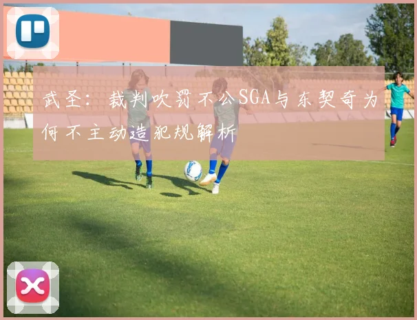 武圣：裁判吹罚不公SGA与东契奇为何不主动造犯规解析
